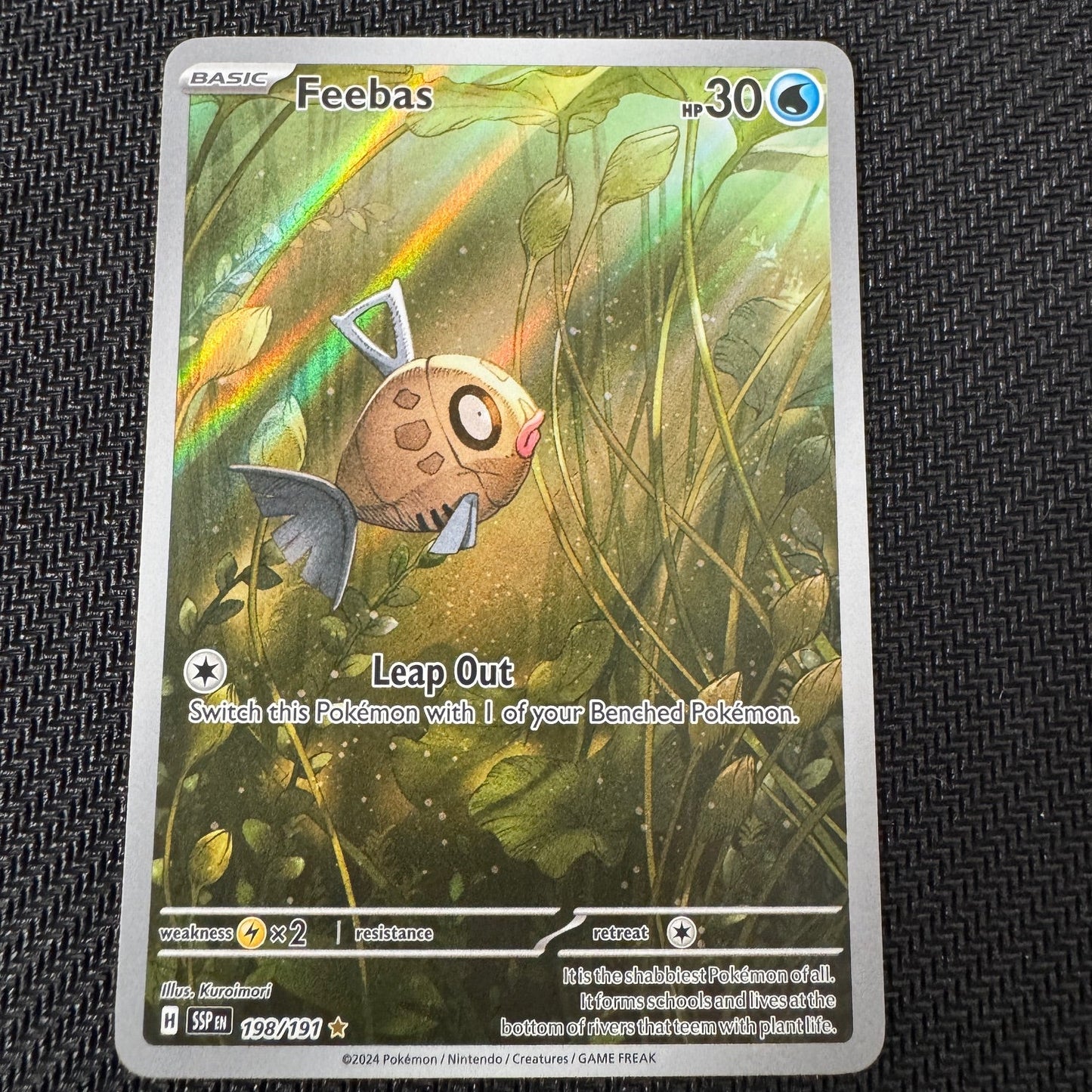 SSP198 Feebas NM